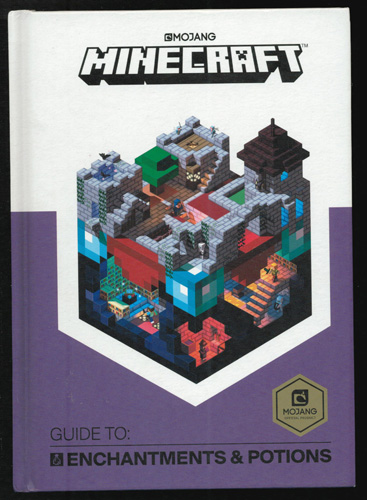 LOT of 5 Minecraft Books Pic 4